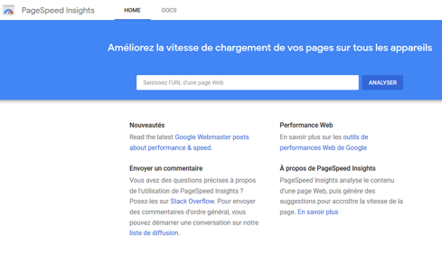 Capture d'écran de PageSpeed Insights