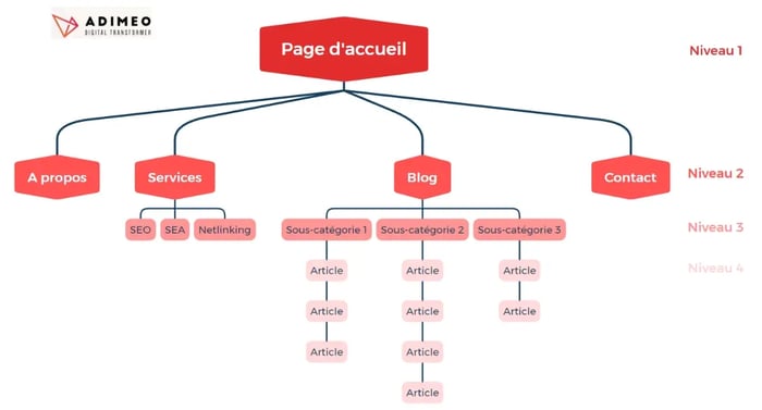 Exemple d'une arborescence par type hiérarchique