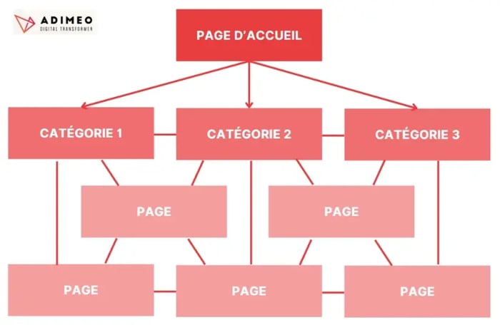 Exemple d'une arborescence en réseau