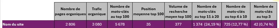 Capture d'écran d'un tableau Excel indiquant le trafic organique, le nombre de mots-clés dans le TOP 100 et dans le TOP 3 par exemple