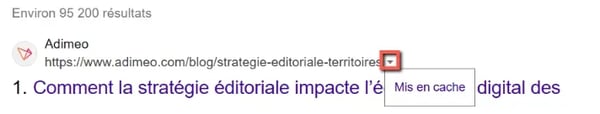 Capture d'écran de la recherche du site Adimeo sur le moteur de recherche Bing