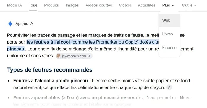 Filtre « Web » de Google permettant d’afficher uniquement les résultats Web classiques