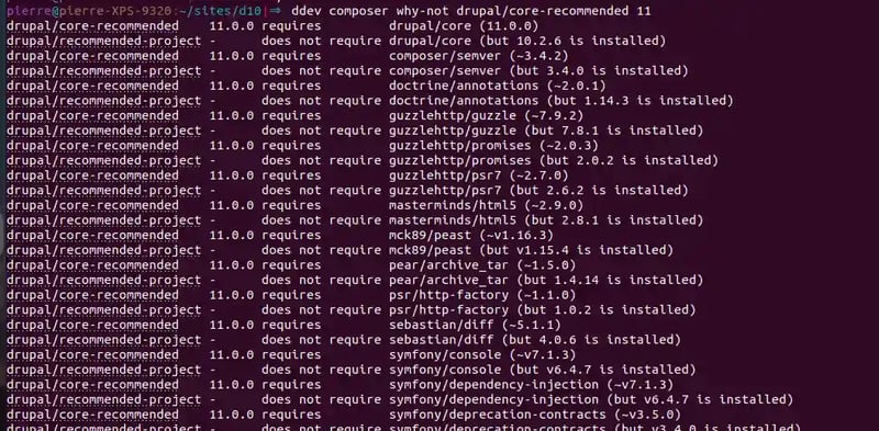 Capture d'écran montrant le résultat de la commande ”composer why-not”