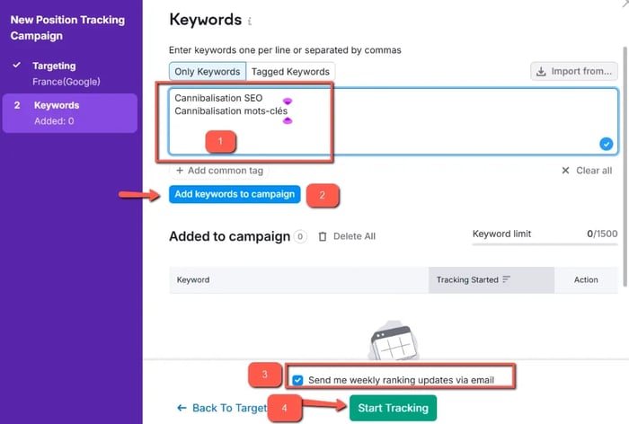 Capture d'écran de Semrush pour lancer la recherche