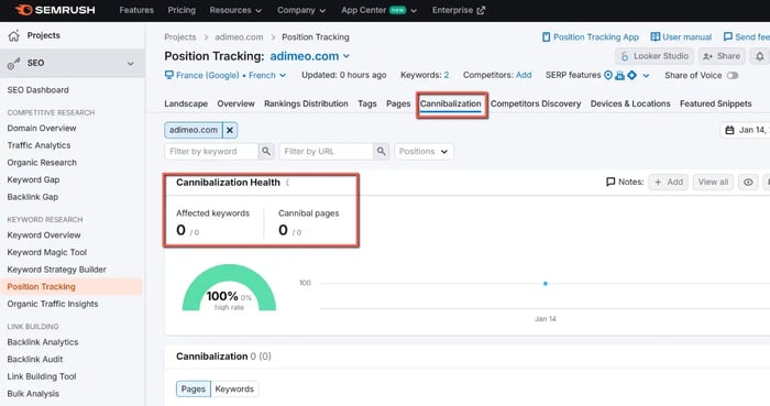 Capture d'écran du résultat dans l'ongle "cannibalization" dans Semrush