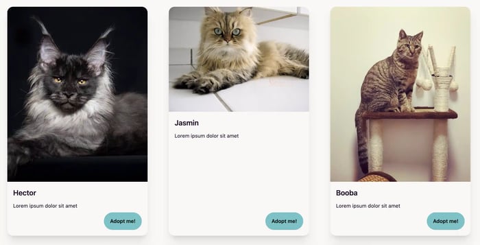 Interface affichant trois cartes avec photo de chats nommés Hector, Jasmin et Booba, une courte description et un bouton Adopt me pour chacun