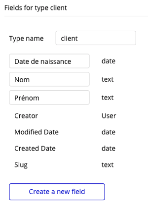 Ecran de saisie des données rattachées à un data type « client » 