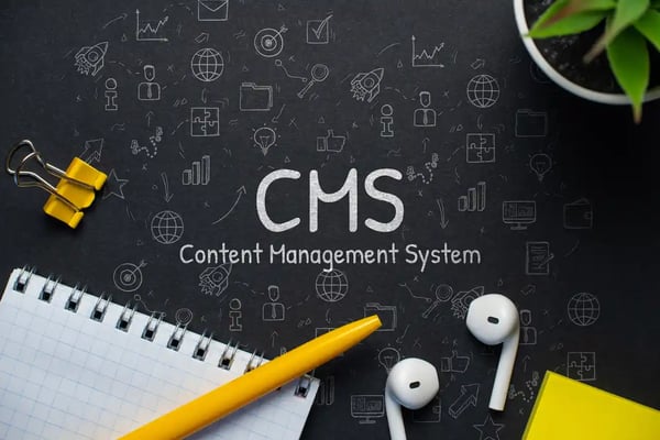 Quel CMS choisir selon le type de votre site Web ?