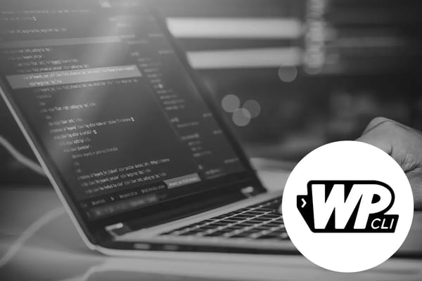 WordPress facile : introduction à l’outil de ligne de commande WP CLI