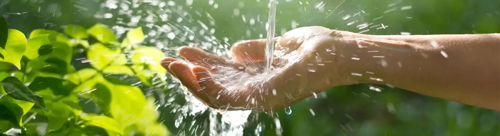 Eau couler dans la main de femme sur fond de nature, concept environnement