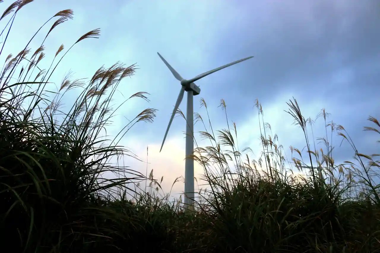 Une éolienne dans un champ