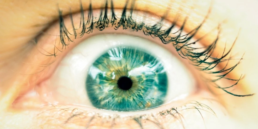 Web sémantique : comment rendre votre contenu plus visible ?