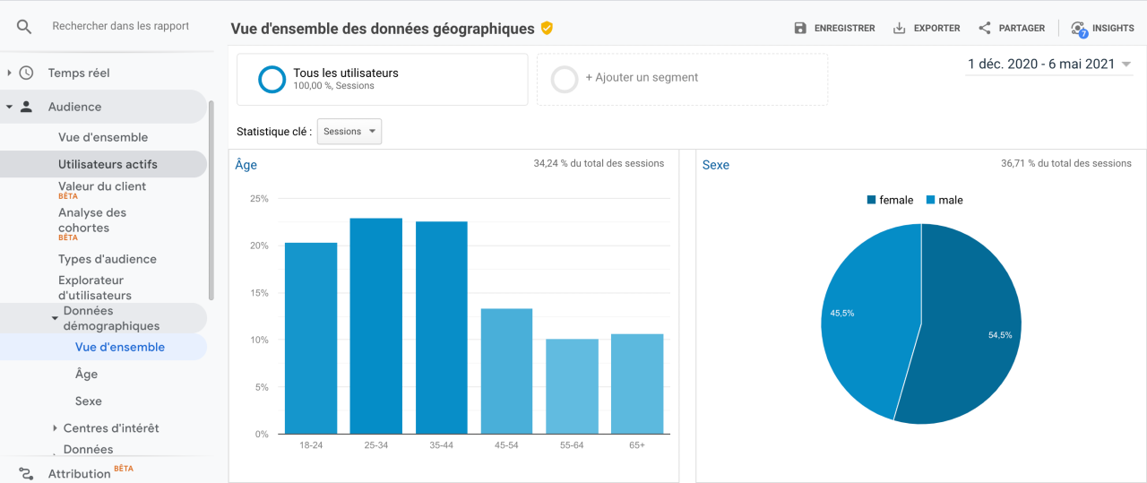 google analytics - données démographiques