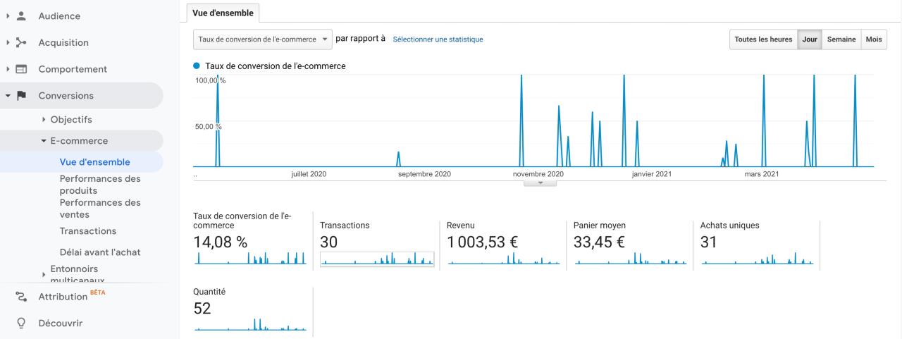 google analytics - vue densemble e-commerce 